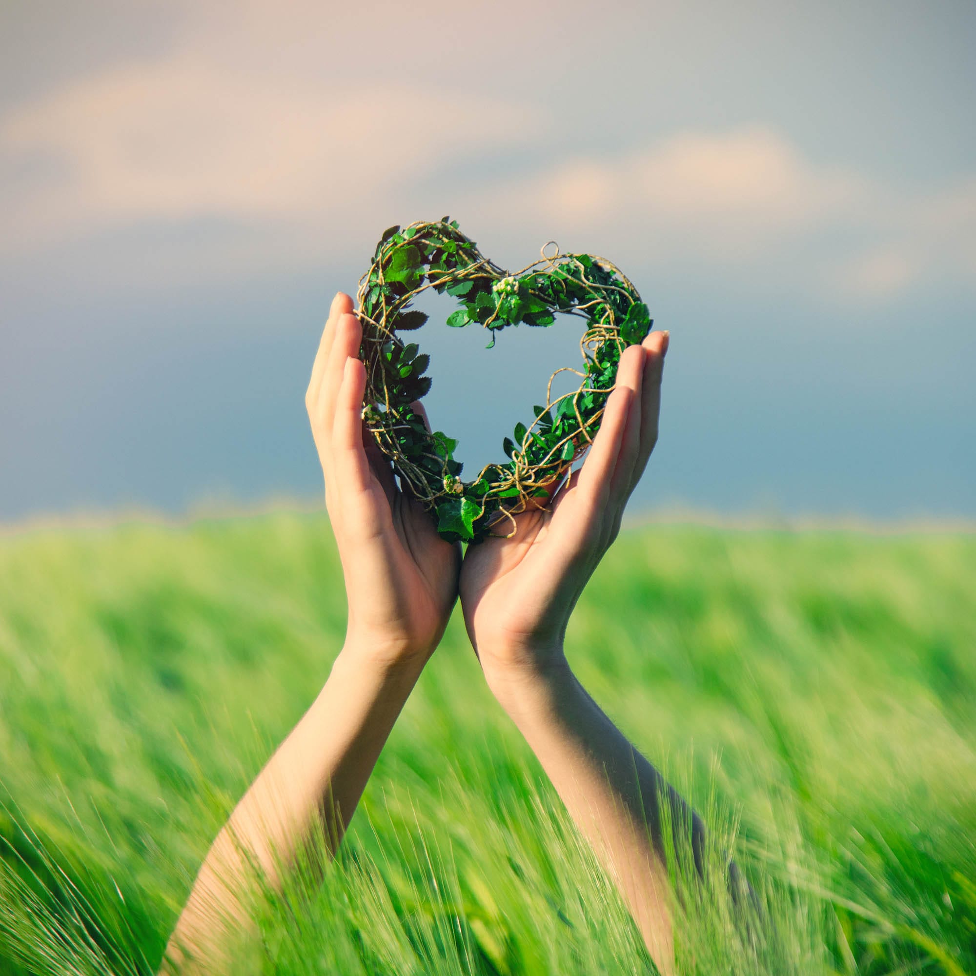 photo of female hands holding heart shaped toy in the field